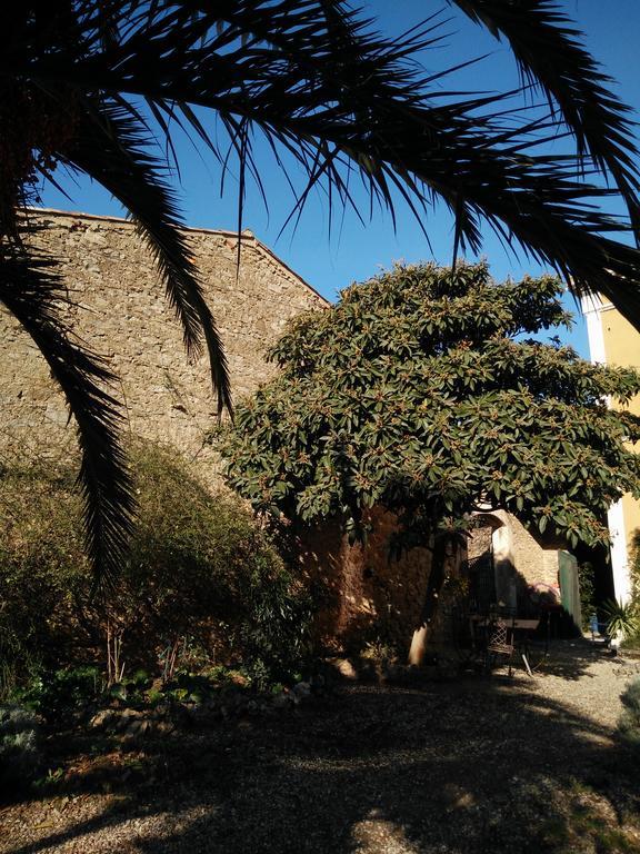 La Maison Des Palmiers Homps  Esterno foto