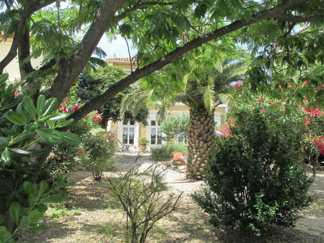 La Maison Des Palmiers Homps  Esterno foto