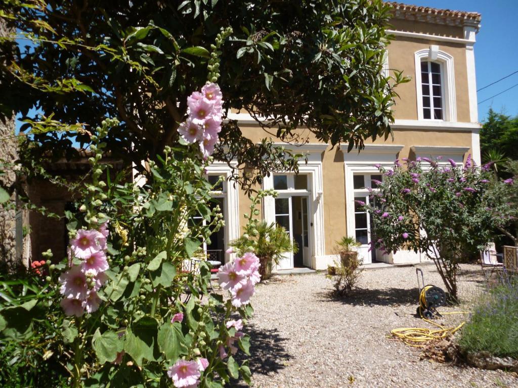 La Maison Des Palmiers Homps  Esterno foto