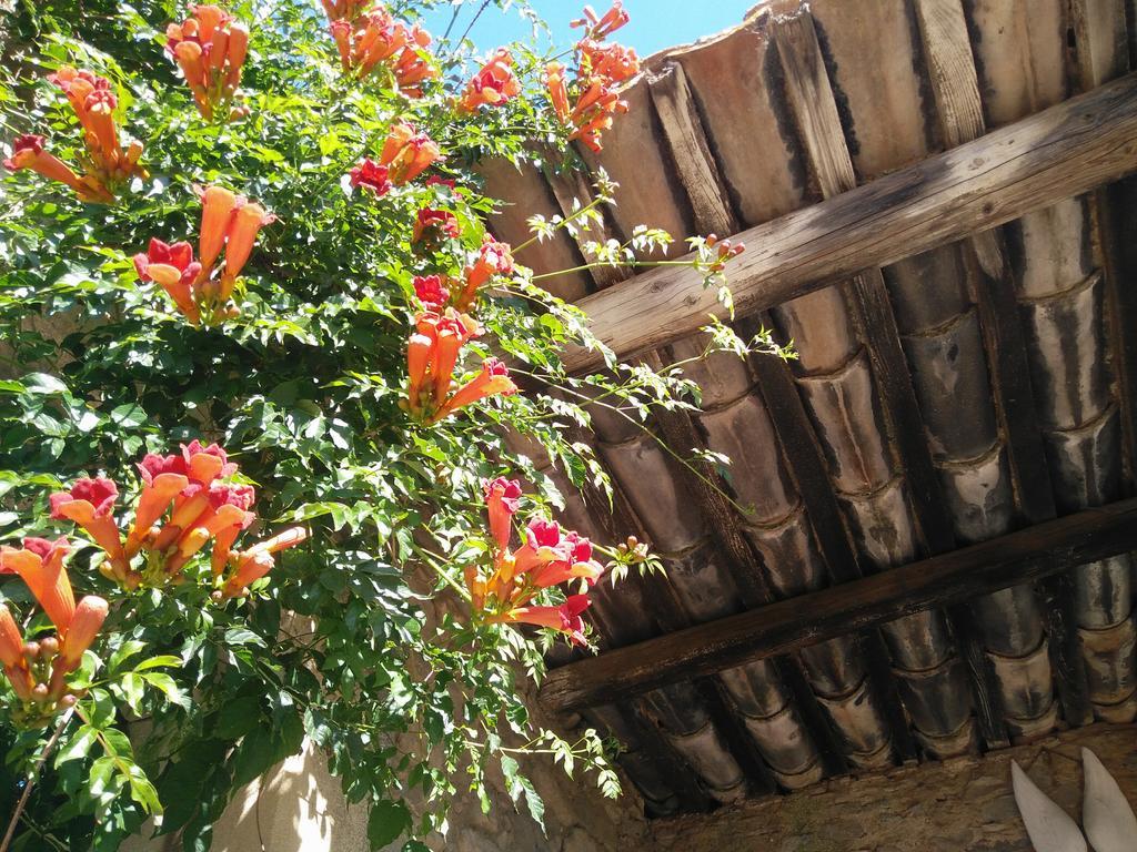 La Maison Des Palmiers Homps  Esterno foto