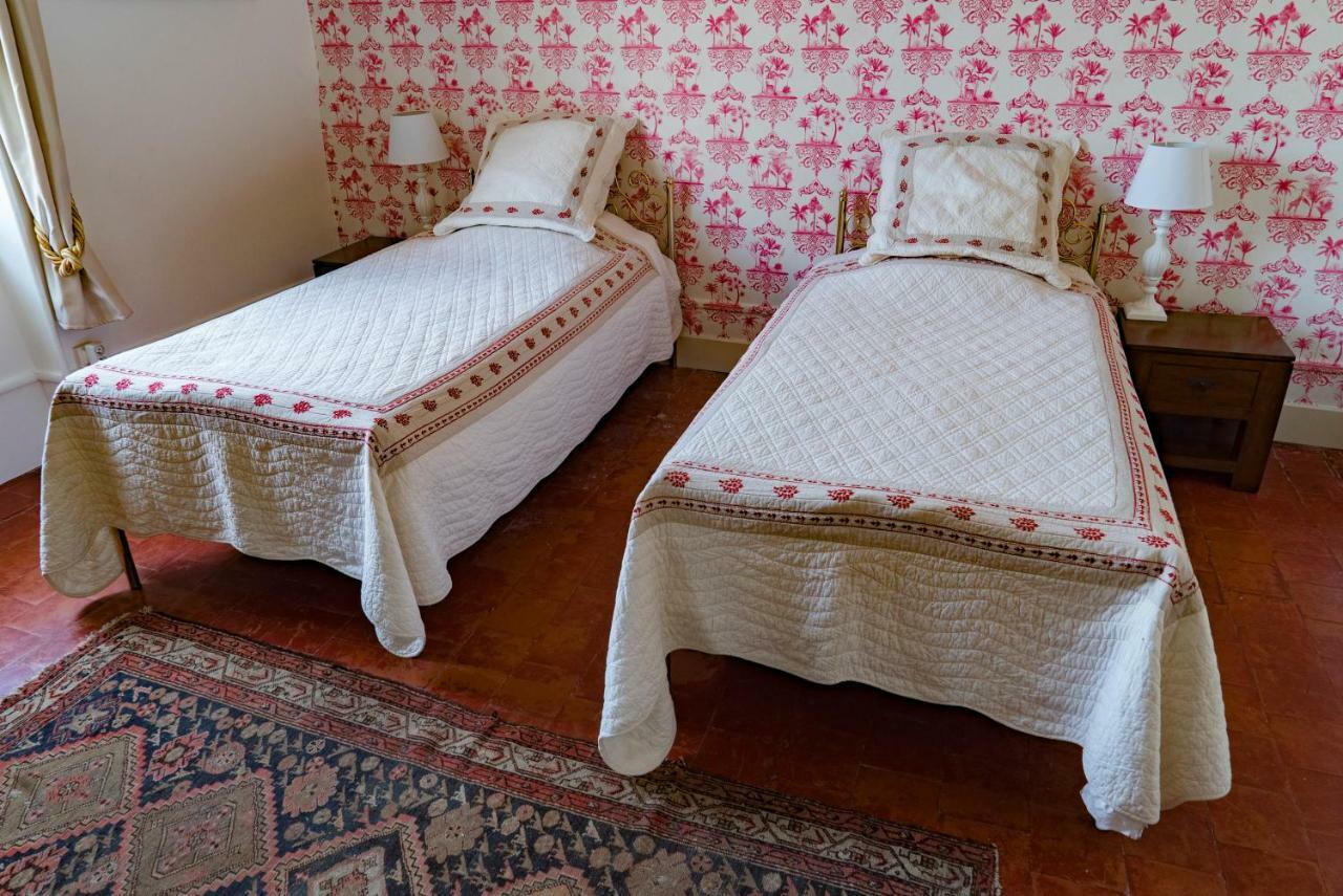 La Maison Des Palmiers Homps  Esterno foto