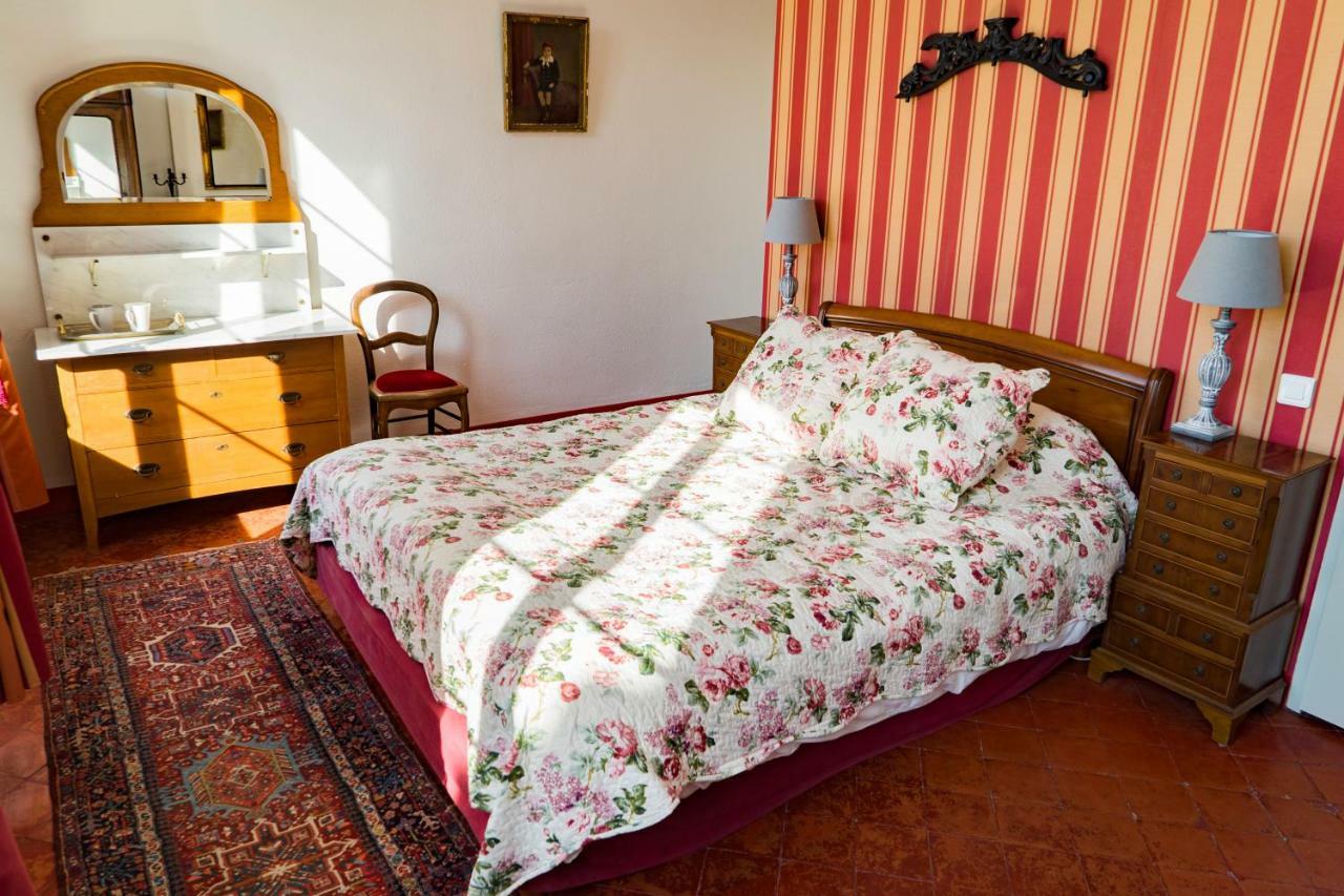 La Maison Des Palmiers Homps  Esterno foto
