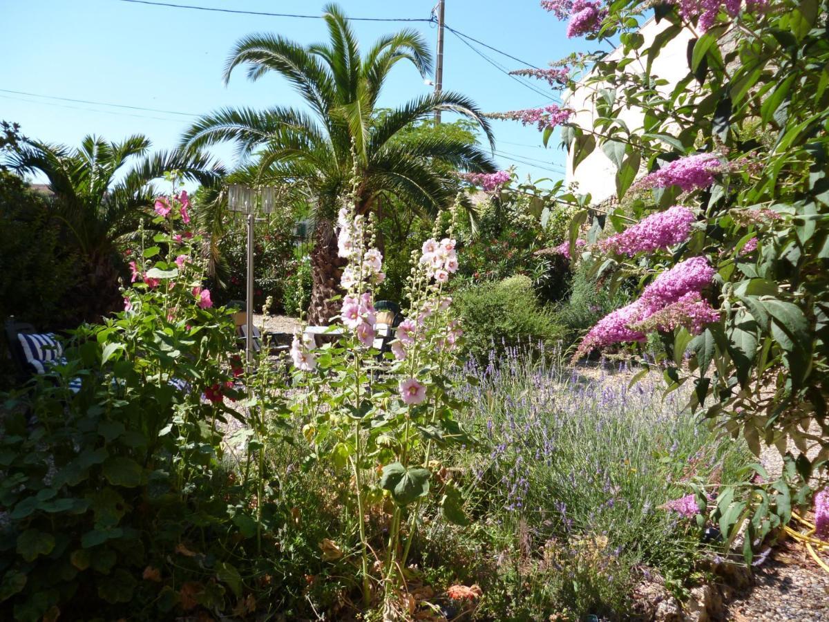 La Maison Des Palmiers Homps  Esterno foto